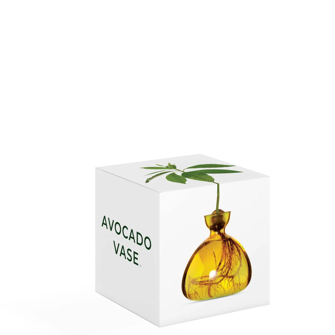 Avocado Vase- Mellow Yellow
