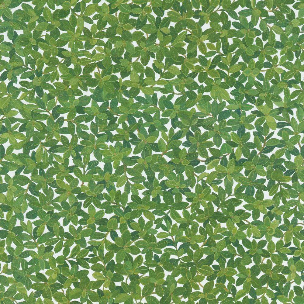 Boxwood Print Wrapping Paper