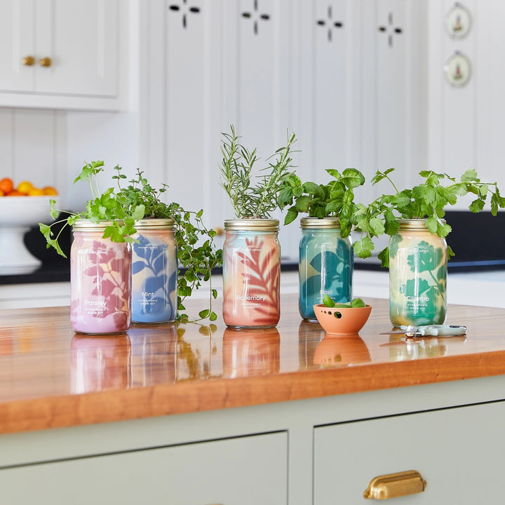 Herb Garden Jar - Basil