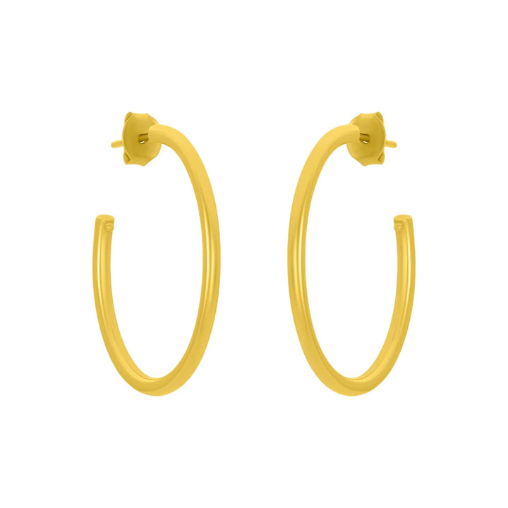 Robin Gold Hoop Earrings