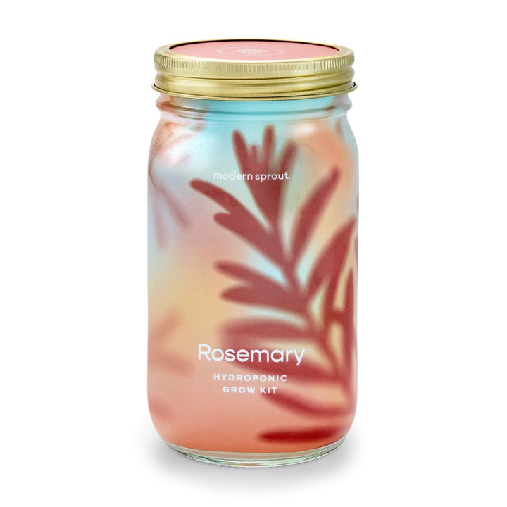 Hydroponic Garden Jar - Rosemary
