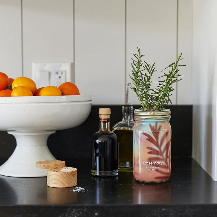Hydroponic Garden Jar - Rosemary