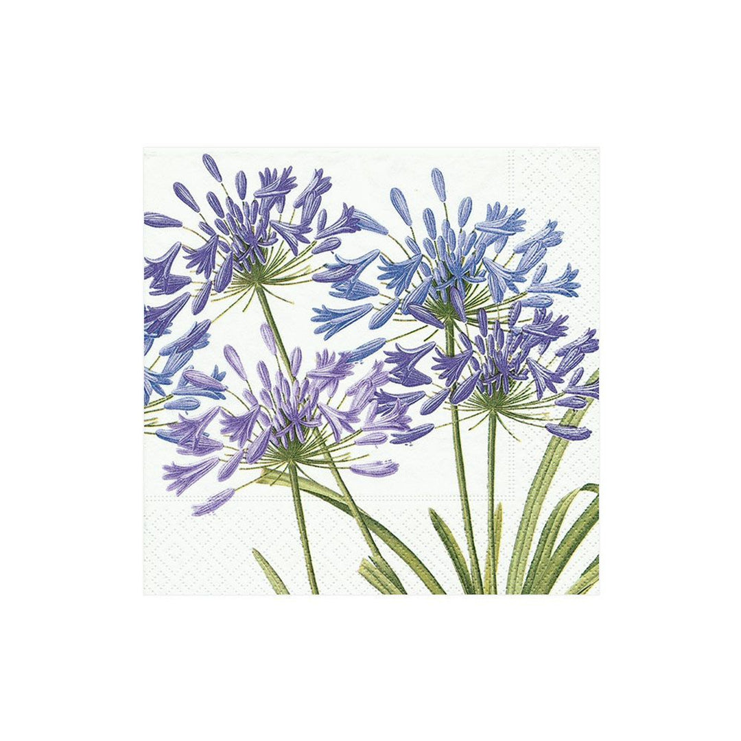 Agapanthus Cocktail Napkins