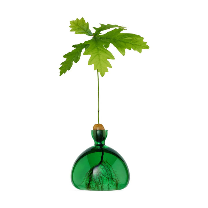 Acorn Vase- Emerald Green