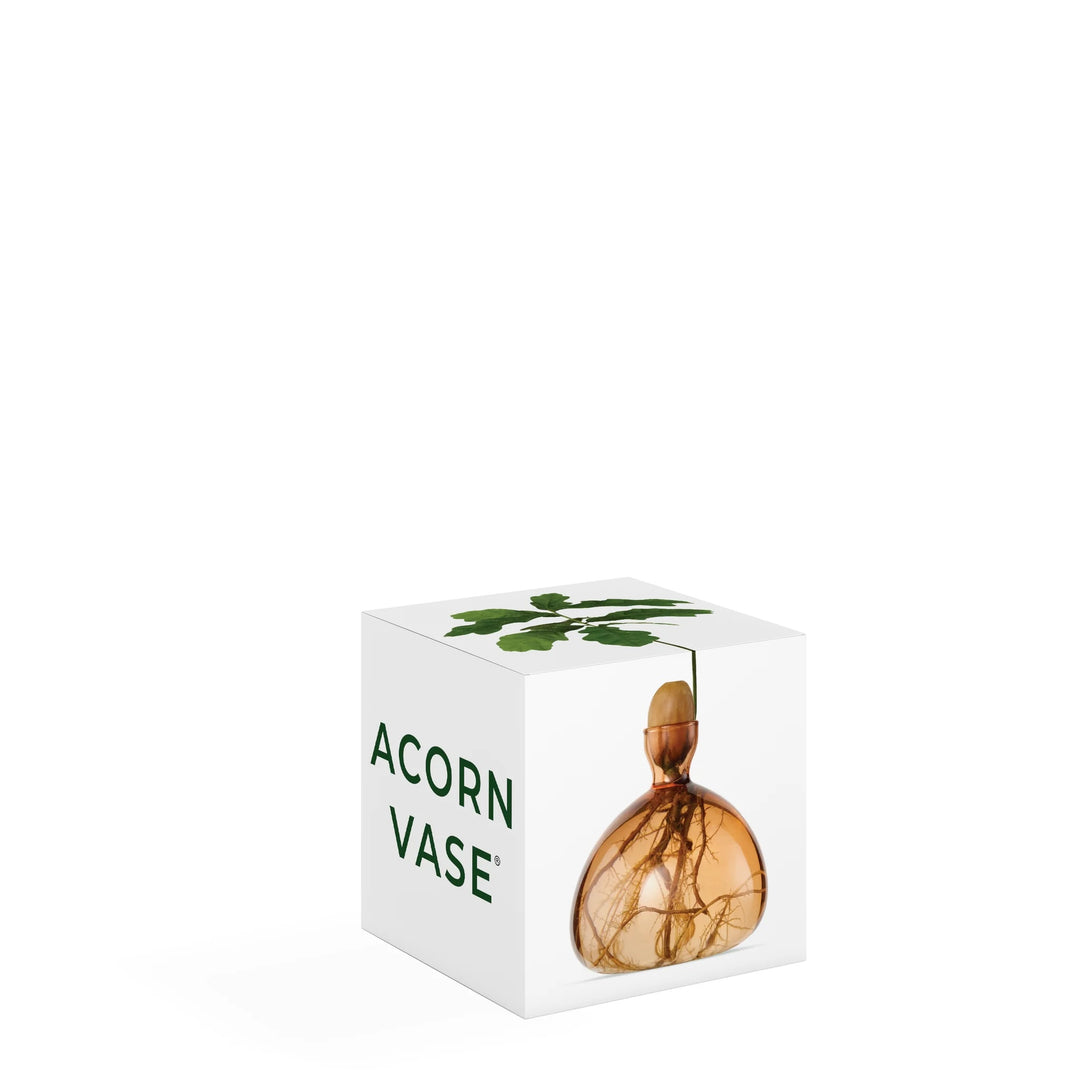 Acorn Vase- Sweet Apricot