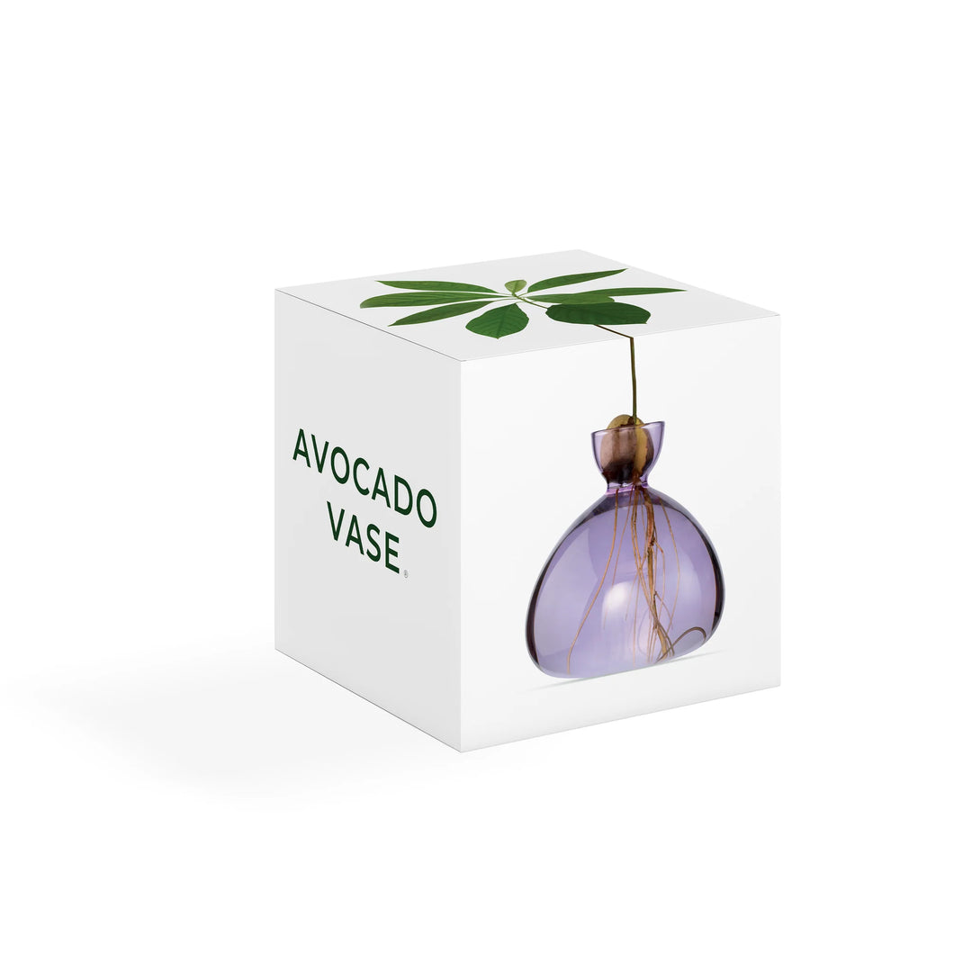 Avocado Vase- Spring Lilac