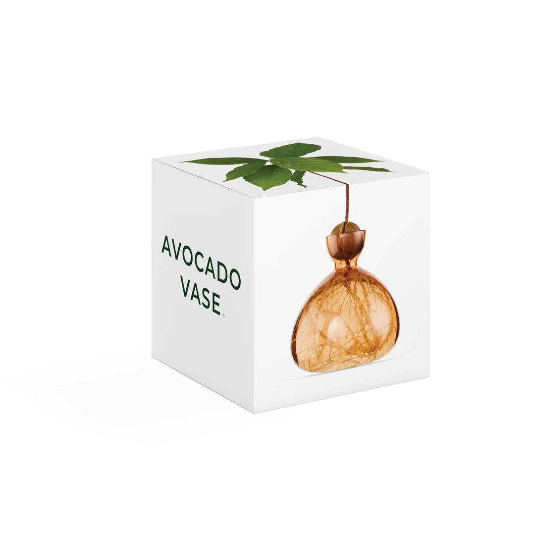 Avocado Vase- Sweet Apricot