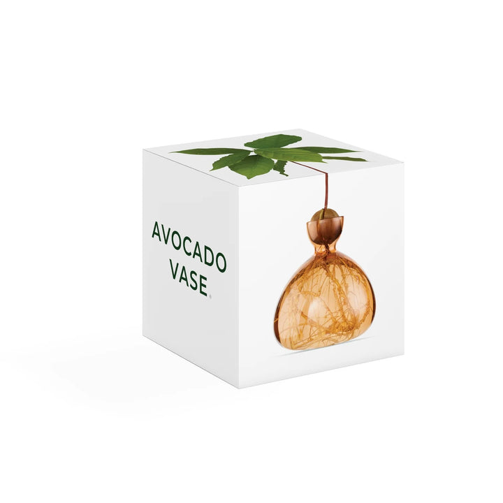 Avocado Vase- Sweet Apricot