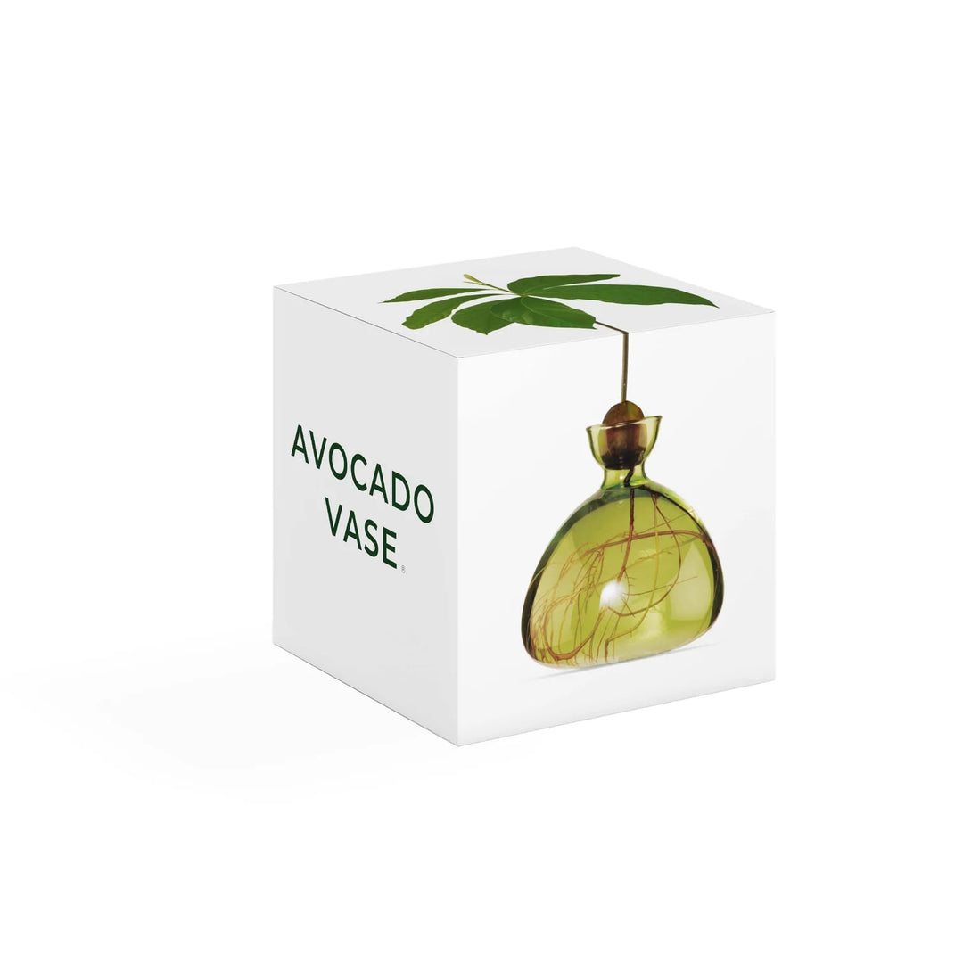 Avocado Vase- Grass Green