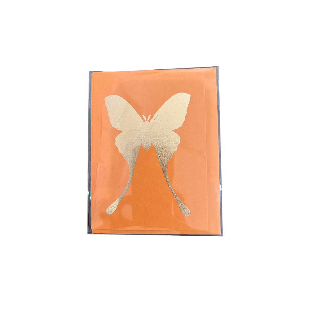 Orange Fizz Luna Moth Card
