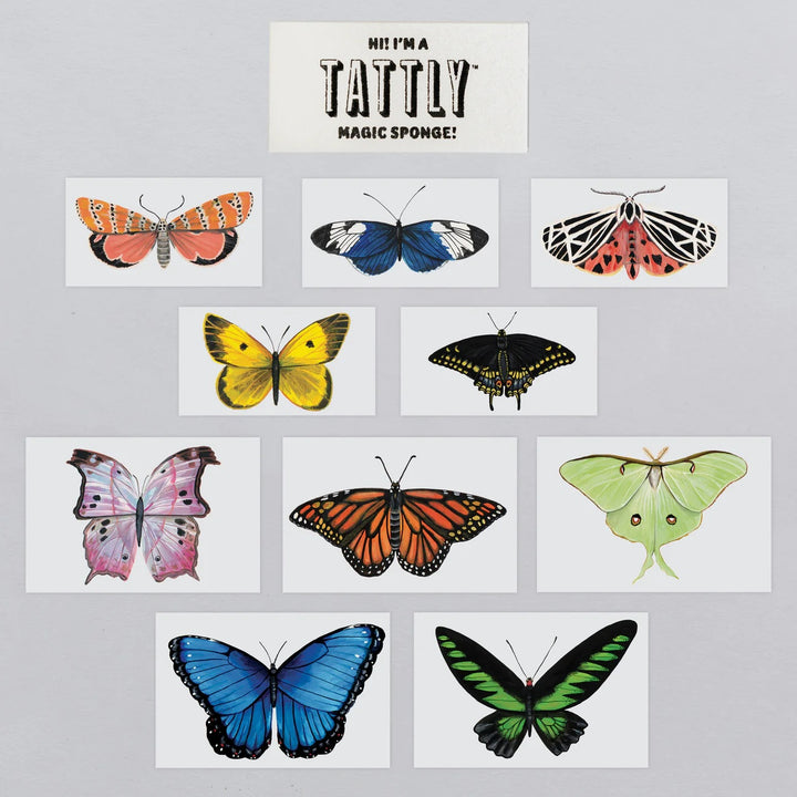 Butterfly Tattoo Tiny Tin