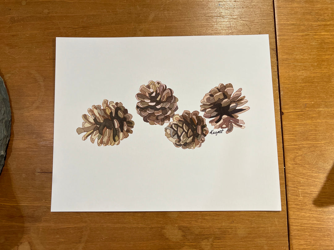 Pinecones- Kate Wyatt Archival Print