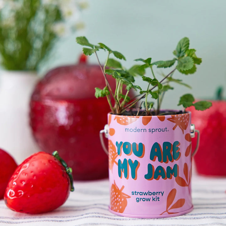 Color Grow Kits- You Are My Jam