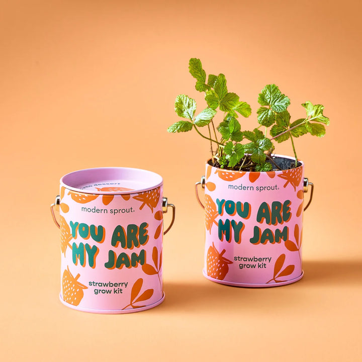 Color Grow Kits- You Are My Jam