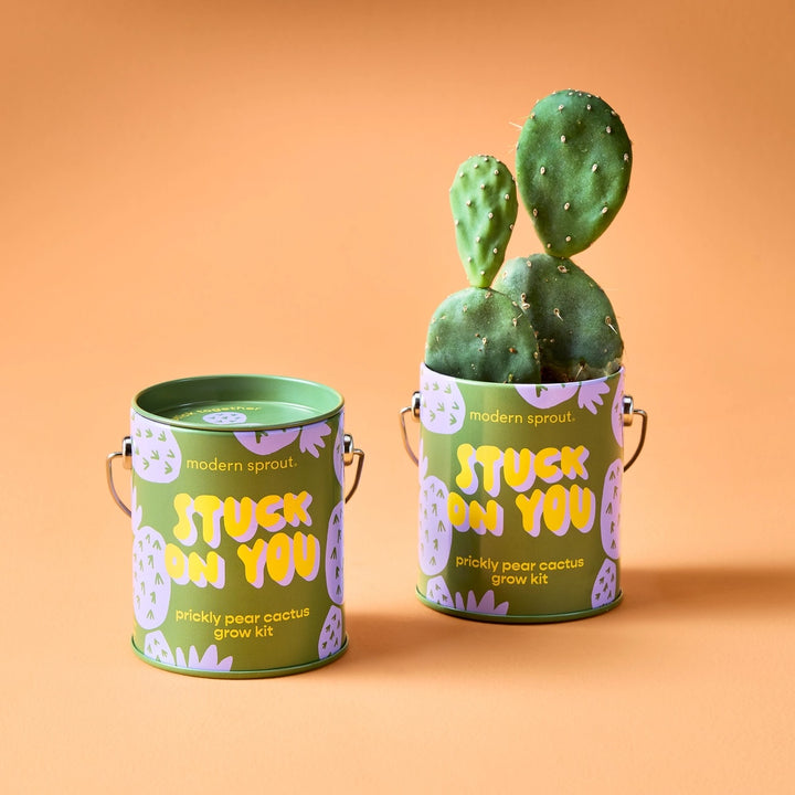 Color Grow Kits- Stuck on You
