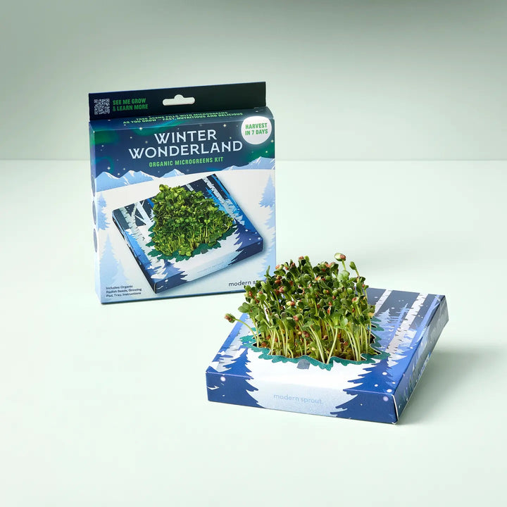 Microgreens Pop Up - Winter Wonderland