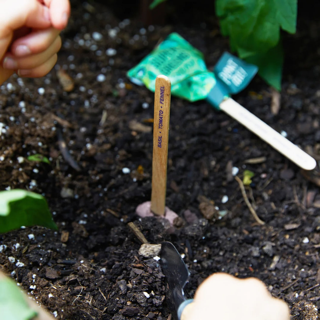 Pollinator Seed Pops